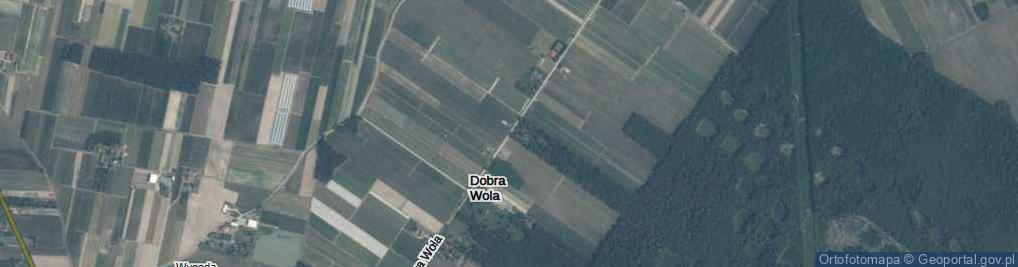 Zdjęcie satelitarne Dobra Wola ul.